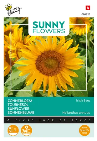 Buzzy® Sunny Flowers, Zonnebloem Irish Eyes - afbeelding 1