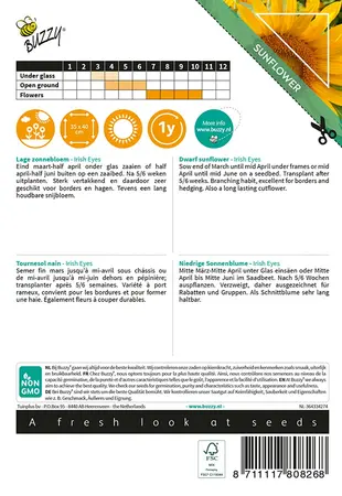 Buzzy® Sunny Flowers, Zonnebloem Irish Eyes - afbeelding 2