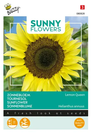 Buzzy® Sunny Flowers, Zonnebloem Lemon Queen - afbeelding 1