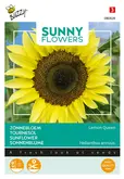 Buzzy® Sunny Flowers, Zonnebloem Lemon Queen - afbeelding 1