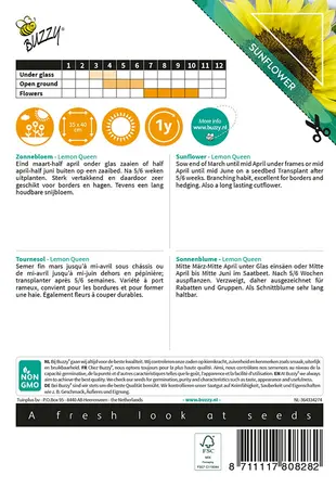 Buzzy® Sunny Flowers, Zonnebloem Lemon Queen - afbeelding 2