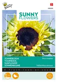 Buzzy® Sunny Flowers, Zonnebloem Moonwalker - afbeelding 1