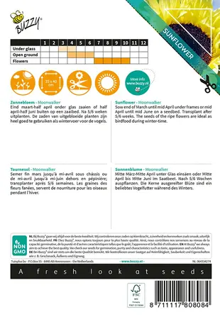 Buzzy® Sunny Flowers, Zonnebloem Moonwalker - afbeelding 2