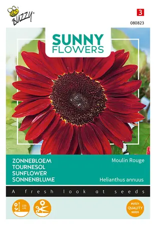 Buzzy® Sunny Flowers, Zonnebloem Moulin Rouge - afbeelding 1