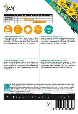 Buzzy® Sunny Flowers, Zonnebloem Pacino - afbeelding 2