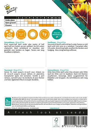 Buzzy® Sunny Flowers, Zonnebloem Ring of Fire - afbeelding 2