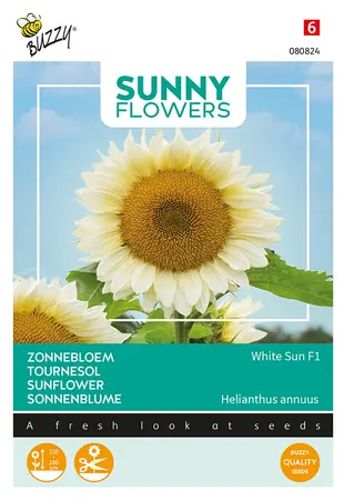 Buzzy® Sunny Flowers, Zonnebloem White Sun F1 - afbeelding 1