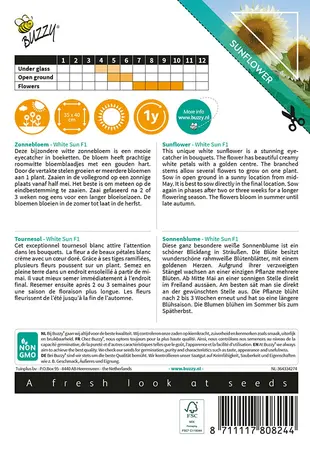 Buzzy® Sunny Flowers, Zonnebloem White Sun F1 - afbeelding 2