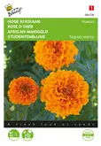 Buzzy® Tagetes, hoge Afrikaan Hawaii oranje - afbeelding 1