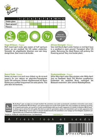 Buzzy® Tagetes, hoge Afrikaan Hawaii oranje - afbeelding 2