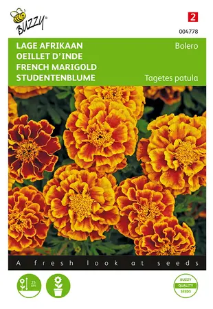 Buzzy® Tagetes, lage Afrikaan Bolero - afbeelding 1