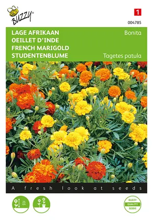 Buzzy® Tagetes, lage Afrikaan Bonita - afbeelding 1