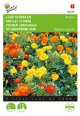 Buzzy® Tagetes, lage Afrikaan Bonita - afbeelding 1