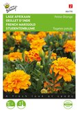 Buzzy® Tagetes, lage Afrikaan Petite Orange - afbeelding 1