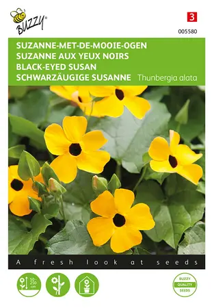 Buzzy® Thunbergia, Suzanne-met-de-mooie-ogen - afbeelding 1
