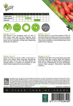 Buzzy® Tomaat Roma VF - afbeelding 2