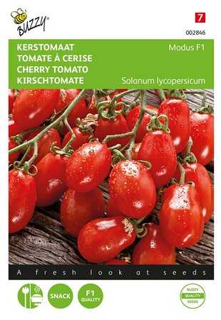 Buzzy® Tomaten Modus F1 - afbeelding 1