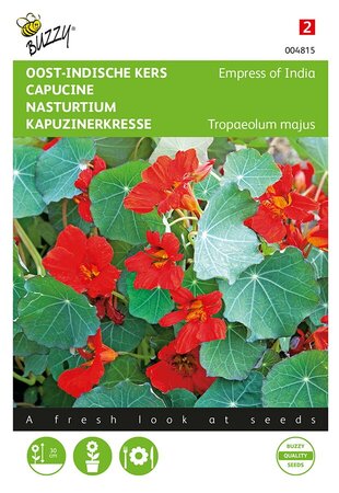 Buzzy® Tropaeolum, Oost-Indische kers Empress of India - afbeelding 1