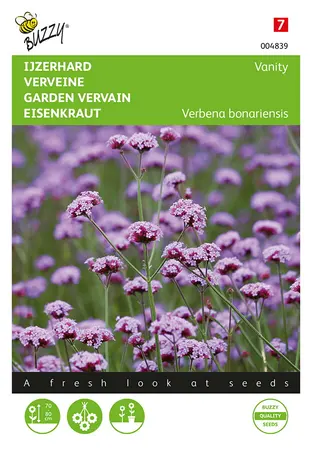 Buzzy® Verbena, IJzerhard Vanity - afbeelding 1
