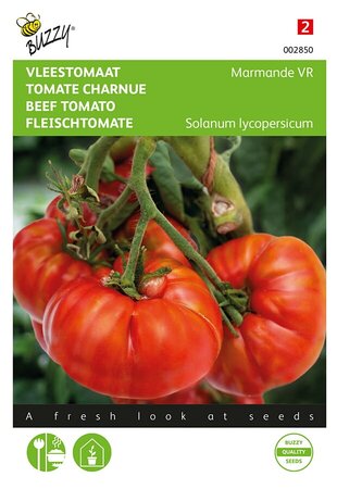 Buzzy® Vleestomaat Marmande VR - afbeelding 1