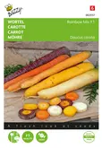 Buzzy® Wortel Rainbow F1 - afbeelding 1