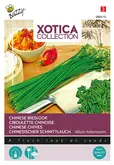 Buzzy® Xotica Chinese Bieslook - afbeelding 1