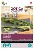 Buzzy® Xotica Citroengras Oost-Indische - afbeelding 1