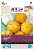 Buzzy® Xotica Komkommer Lemon Apple - afbeelding 1