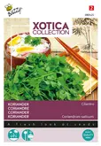 Buzzy® Xotica Koriander Cilantro - afbeelding 1