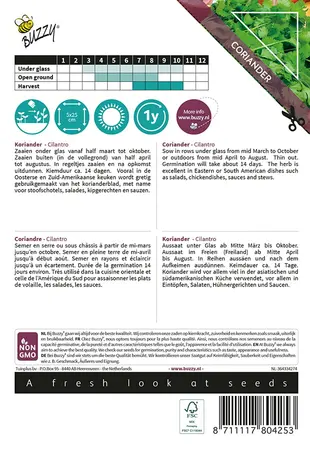 Buzzy® Xotica Koriander Cilantro - afbeelding 2