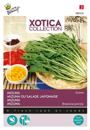 Buzzy® Xotica Mizuna, Japanse salade - afbeelding 1