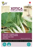 Buzzy® Xotica Pak choi Chinese kool - afbeelding 1