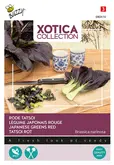 Buzzy® Xotica Rode Tatsoi - afbeelding 1
