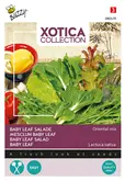 Buzzy® Xotica Salade Baby Leaf Oriental Mix - afbeelding 1