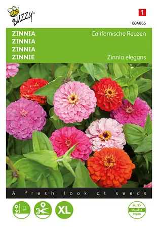Buzzy® Zinnia Californische Reuzen gemengd - afbeelding 1