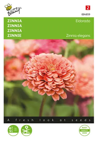 Buzzy® Zinnia Eldorado - afbeelding 1