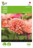 Buzzy® Zinnia Eldorado - afbeelding 1