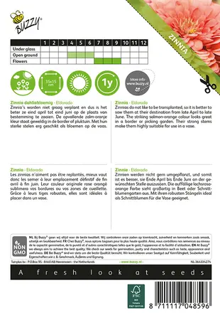 Buzzy® Zinnia Eldorado - afbeelding 2