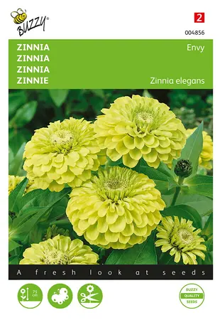 Buzzy® Zinnia Envy - afbeelding 1