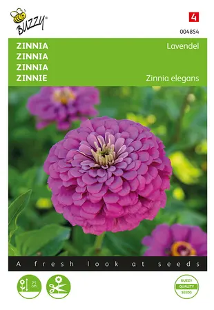 Buzzy® Zinnia Lavendel - afbeelding 1