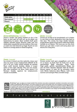 Buzzy® Zinnia Lavendel - afbeelding 2