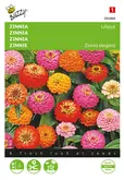 Buzzy® Zinnia Lilliput gemengd - afbeelding 1
