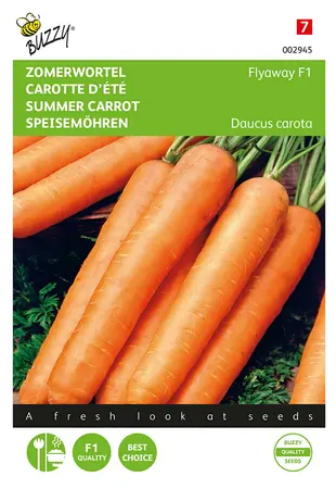 Buzzy® Zomerwortel Flyaway F1 - afbeelding 1