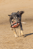 BZ ACTION RUGBYBAL M TOUW BRN 21 - afbeelding 4