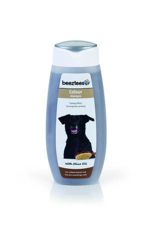 BZ COLOUR SHAMPOO BLACK 300ML
