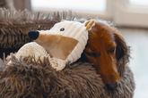BZ ECO KNUFFELLAP VILO BGE 30 - afbeelding 4