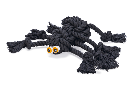 BZ HALLOWEEN FLOSSY SPIN ZWT 38X18