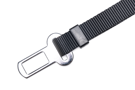 BZ NYL AUTOGORDEL HOND L ZWT 85X2,5 - afbeelding 2