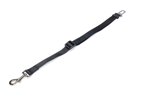 BZ NYL AUTOGORDEL HOND L ZWT 85X2,5 - afbeelding 3