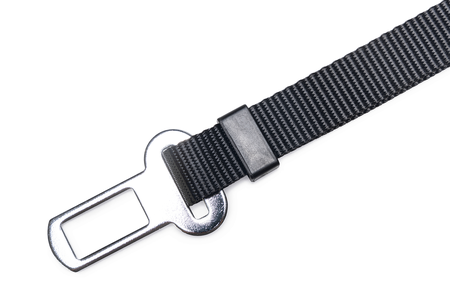 BZ NYL AUTOGORDEL HOND M ZWT 70X2 - afbeelding 2